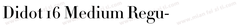 Didot 16 Medium Regu字体转换